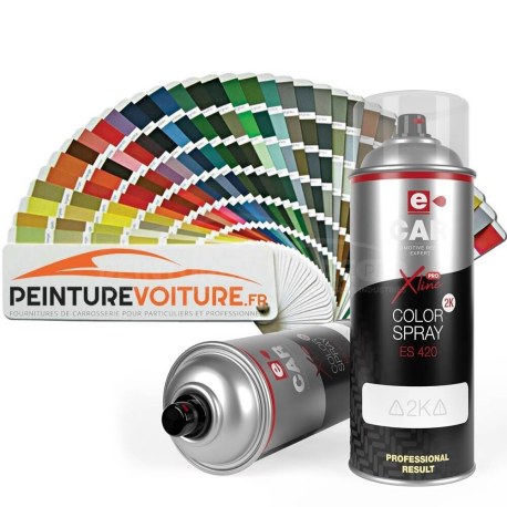 Bombe de peinture brillant direct 2K