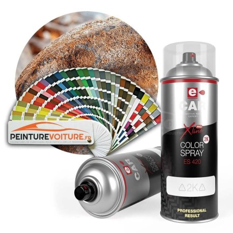 Bombe de peinture accroche direct