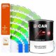 Peinture Pantone Brillant Direct en Pot