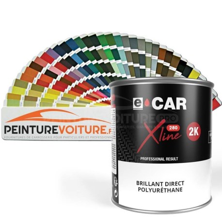 Pot de peinture brillant direct