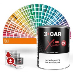 Peinture RAL satinée en pot