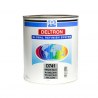 Peinture Bicouche PPG Deltron GRS BC