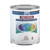Peinture Brillant Direct PPG Deltron GRS DG