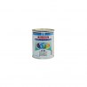 Peinture Brillant Direct PPG Deltron GRS DG