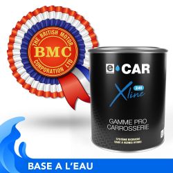 Peinture BLMC bicouches hydro en pot