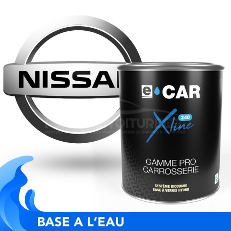 Peinture Nissan bicouches hydro en pot