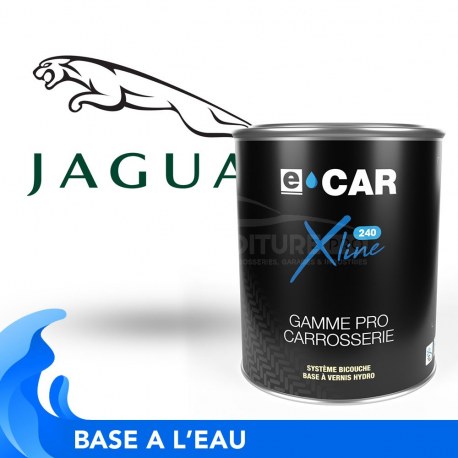 Peinture Jaguar bicouches hydro en pot