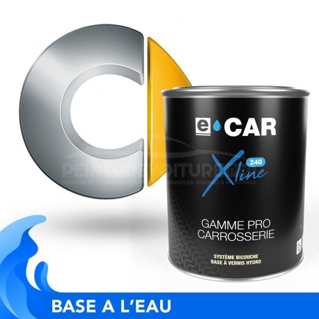 Peinture Smart bicouches hydro en pot