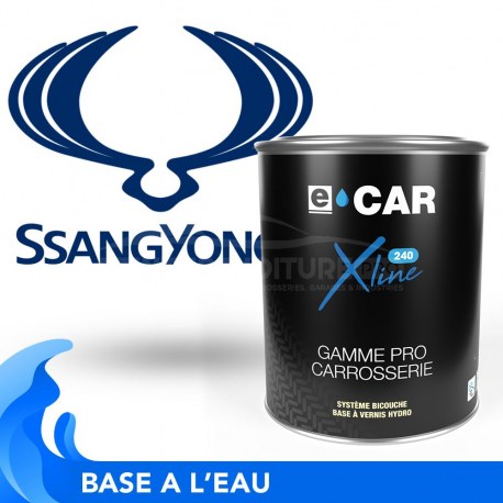 Peinture SsangYong bicouches hydro en pot