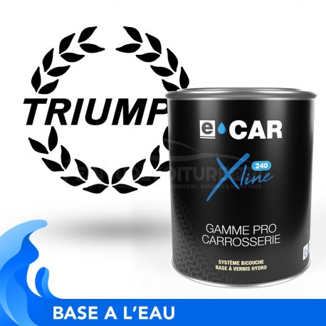Peinture Triumph bicouches hydro en pot